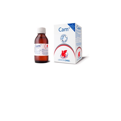 Cam-Jarabe-x-120-ml-